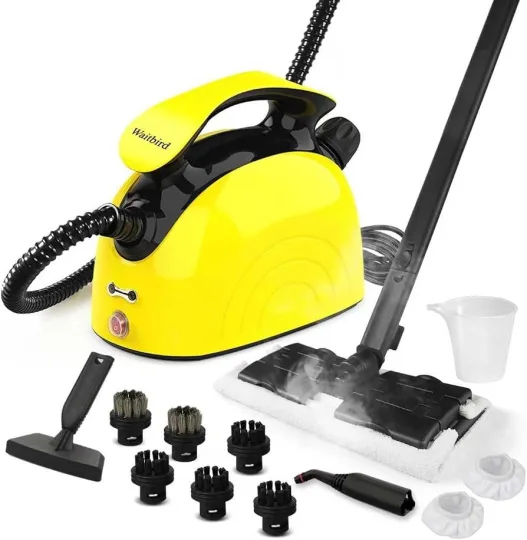 Waitbird steam cleaner