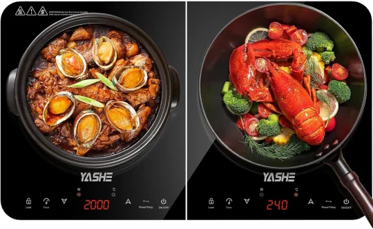 YASHE two-burner induction hob
